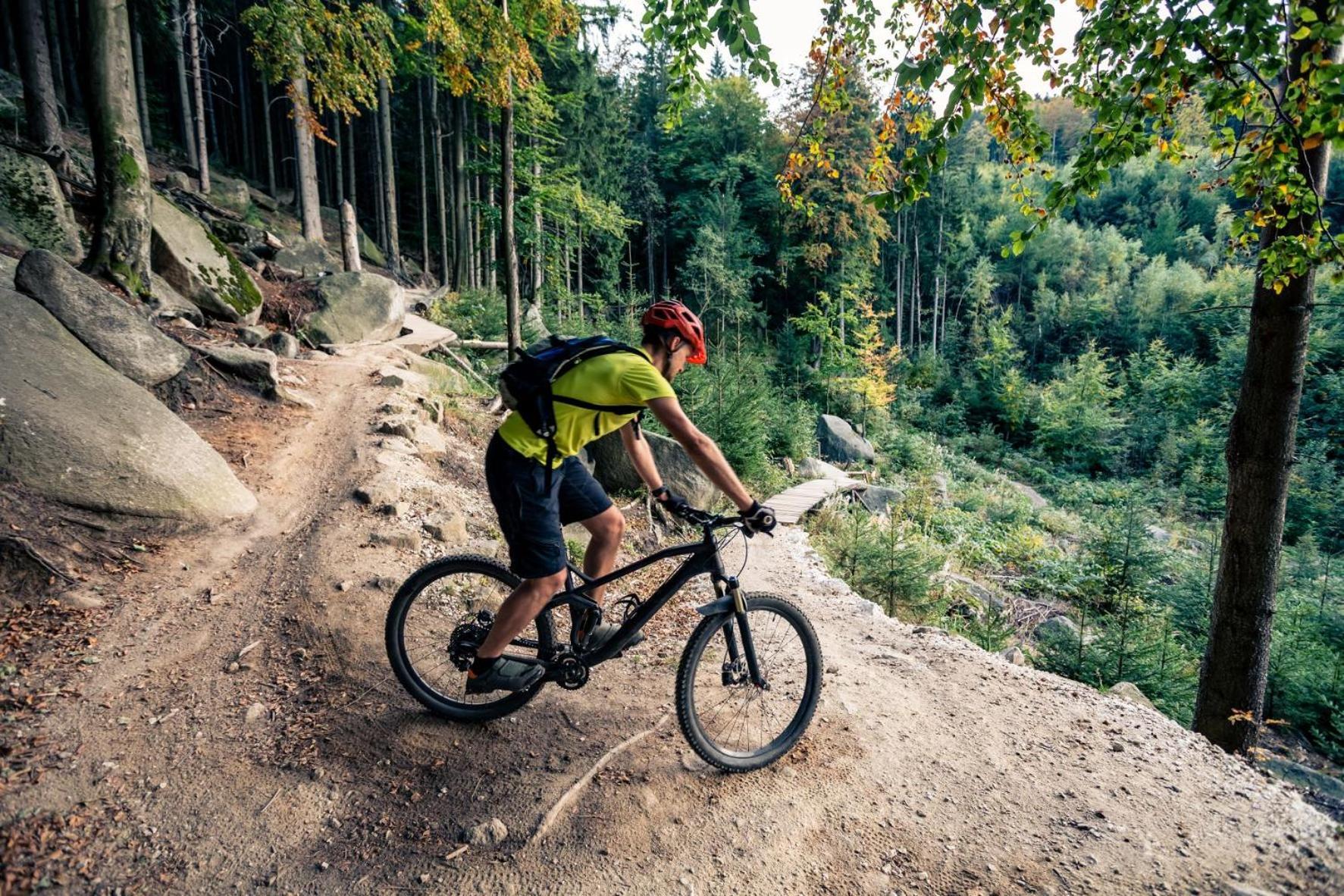 Elements Hotel&Spa Swieradow-Zdroj Exterior photo A mountain biker riding a trail